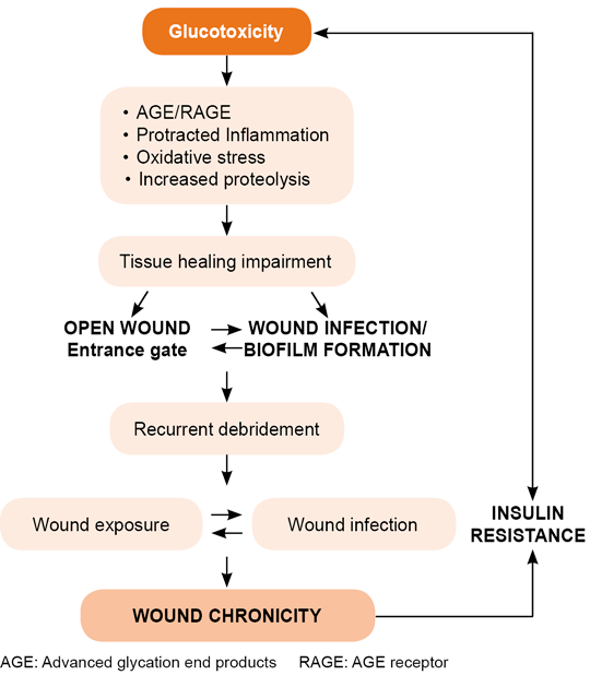 MEDICC Review | Wound Chronicity, Impaired Immunity and Infection in ...